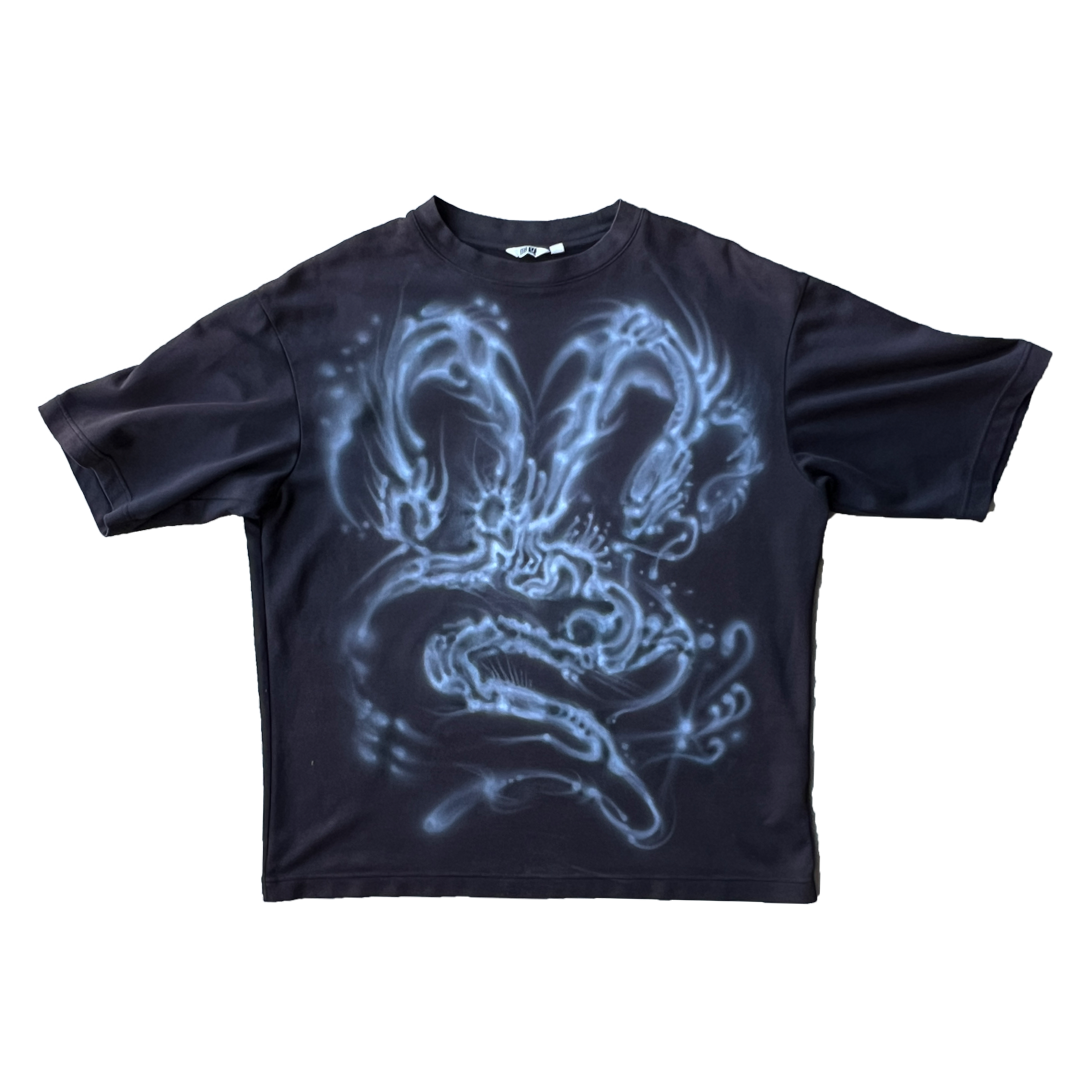 dragon 1